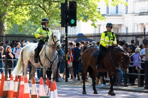 Police montée Londres